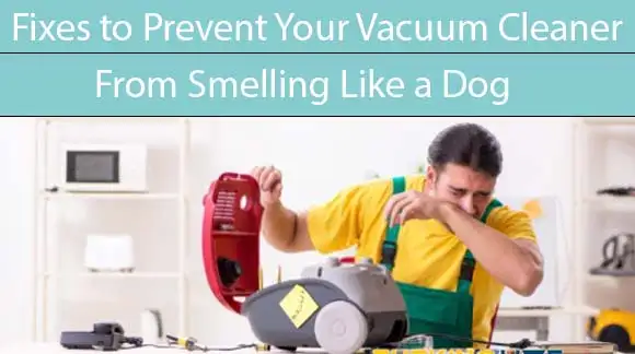 Fixes to Prevent Your Vacuum Cleaner, from Smelling Like a Dog