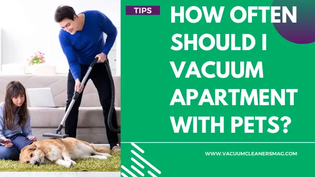 How often should i vacuum apartment with pets?