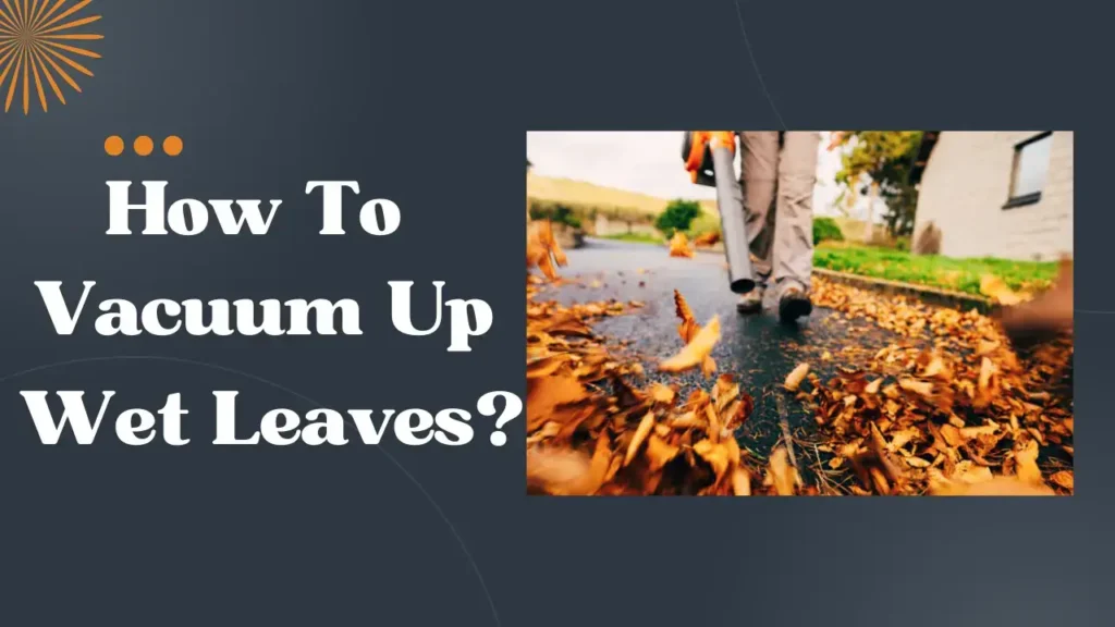 Can you use vacuum to suck up leaves?