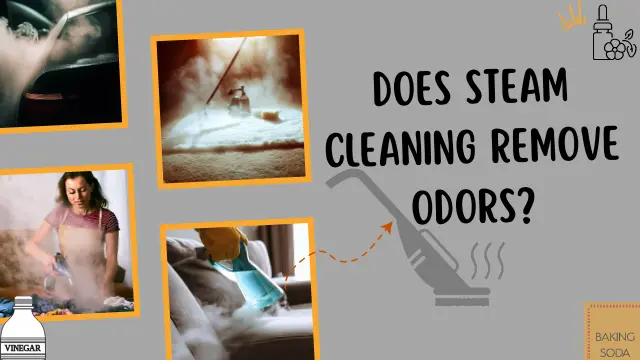 Does Steam Cleaning Remove Odors?