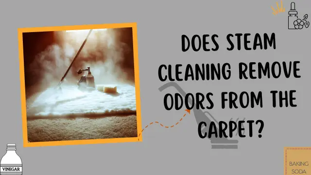 Does Steam Cleaning Remove Odors from the Carpet?